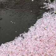 ヒメ日記 2026/04/10 09:16 投稿 ふうか 妻天 京橋店