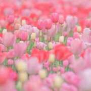 ヒメ日記 2026/04/13 09:22 投稿 ふうか 妻天 京橋店