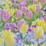 ふうか こんにちは🤗 妻天 京橋店