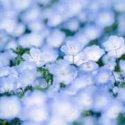 ふうか 出勤しました🤗 妻天 京橋店