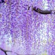 ふうか 向かってます💨💨 妻天 京橋店