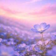 ヒメ日記 2026/04/22 08:16 投稿 ふうか 妻天 京橋店