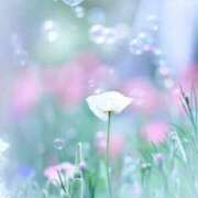 ヒメ日記 2026/04/29 09:10 投稿 ふうか 妻天 京橋店