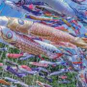 ヒメ日記 2026/05/05 07:14 投稿 ふうか 妻天 京橋店