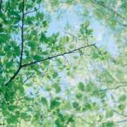 ヒメ日記 2026/05/11 10:19 投稿 ふうか 妻天 京橋店
