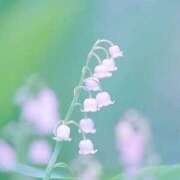 ヒメ日記 2026/05/13 09:14 投稿 ふうか 妻天 京橋店