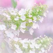ヒメ日記 2026/06/01 09:05 投稿 ふうか 妻天 京橋店