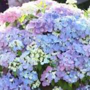 ヒメ日記 2026/06/04 07:14 投稿 ふうか 妻天 京橋店