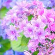 ふうか 出勤しましたっっ♫ 妻天 京橋店