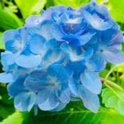 ヒメ日記 2026/06/13 09:44 投稿 ふうか 妻天 京橋店