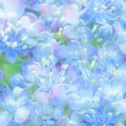 ヒメ日記 2026/06/15 09:26 投稿 ふうか 妻天 京橋店