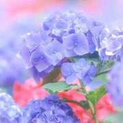 ヒメ日記 2026/06/20 08:23 投稿 ふうか 妻天 京橋店