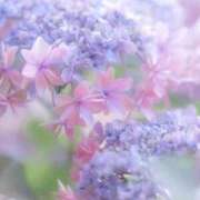 ヒメ日記 2026/06/30 10:14 投稿 ふうか 妻天 京橋店