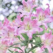 ヒメ日記 2026/07/13 09:24 投稿 ふうか 妻天 京橋店