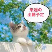ヒメ日記 2026/08/09 10:04 投稿 ふうか 妻天 京橋店
