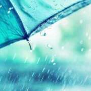ふうか 出勤しましたっっ☔️ 妻天 京橋店