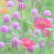 ヒメ日記 2026/09/15 10:05 投稿 ふうか 妻天 京橋店