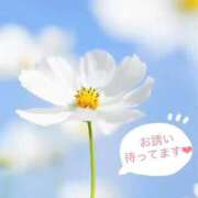 ヒメ日記 2026/09/25 09:15 投稿 ふうか 妻天 京橋店