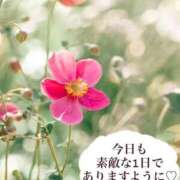ヒメ日記 2026/09/26 09:04 投稿 ふうか 妻天 京橋店