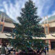 ヒメ日記 2024/12/15 06:20 投稿 空音 チューリップ土浦店