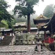 ヒメ日記 2025/01/01 06:20 投稿 空音 チューリップ土浦店