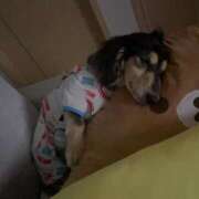 ヒメ日記 2025/01/11 17:50 投稿 空音 チューリップ土浦店