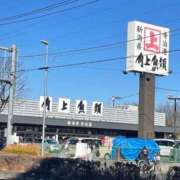 ヒメ日記 2025/01/29 09:20 投稿 空音 チューリップ土浦店