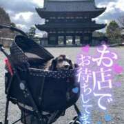 ヒメ日記 2025/02/08 06:20 投稿 空音 チューリップ土浦店