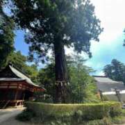 ヒメ日記 2025/03/04 06:20 投稿 空音 チューリップ土浦店