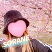 ヒメ日記 2025/03/27 15:50 投稿 空音 チューリップ土浦店