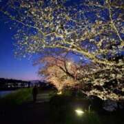 ヒメ日記 2025/04/09 22:40 投稿 リリ チューリップ土浦店