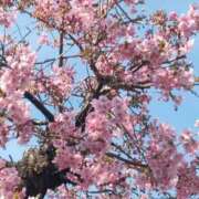 ヒメ日記 2025/03/27 20:50 投稿 えりな チューリップ土浦店