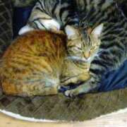 ヒメ日記 2025/06/12 22:18 投稿 えりな チューリップ土浦店