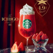 ヒメ日記 2025/04/11 17:08 投稿 れい ミルキーラテ