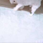 ヒメ日記 2025/10/31 19:39 投稿 笠松ゆえ 一夜妻