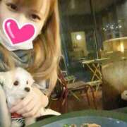 ヒメ日記 2025/11/07 00:29 投稿 笠松ゆえ 一夜妻