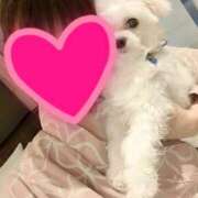 ヒメ日記 2025/11/09 01:49 投稿 笠松ゆえ 一夜妻