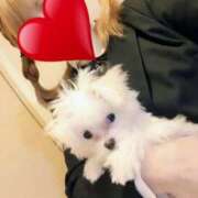 ヒメ日記 2025/11/15 19:15 投稿 笠松ゆえ 一夜妻