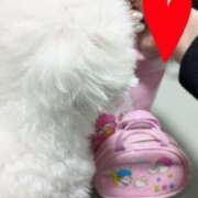 ヒメ日記 2025/11/29 18:29 投稿 笠松ゆえ 一夜妻