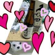 笠松ゆえ 彼氏(愛犬)と🩷💗🩷 一夜妻