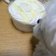 ヒメ日記 2025/12/10 08:09 投稿 笠松ゆえ 一夜妻