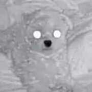 ヒメ日記 2026/01/02 08:49 投稿 笠松ゆえ 一夜妻