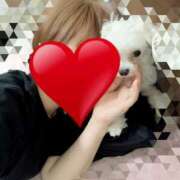 ヒメ日記 2026/07/02 00:39 投稿 笠松ゆえ 一夜妻