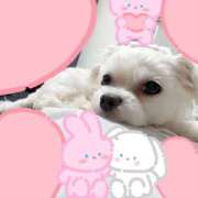 ヒメ日記 2026/09/07 23:07 投稿 笠松ゆえ 一夜妻