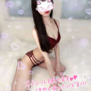 ヒメ日記 2025/12/03 16:45 投稿 りな 神田ハンドメイド