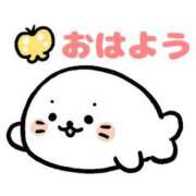 ヒメ日記 2025/11/07 06:07 投稿 ゆずき エクレア