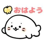 ヒメ日記 2025/11/07 06:11 投稿 ゆずき エクレア