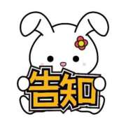 ヒメ日記 2025/11/18 18:21 投稿 ゆずき エクレア