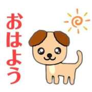 ヒメ日記 2025/12/09 06:21 投稿 ゆずき エクレア