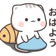 ヒメ日記 2025/12/12 06:00 投稿 ゆずき エクレア